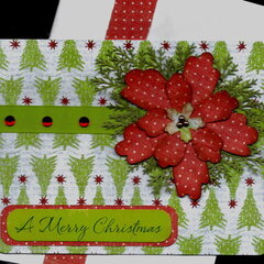 Poinsettia A Merry Christmas Card