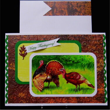 Turkeys Thanksgiving Card