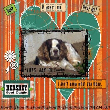 Hershey - Good Doggie