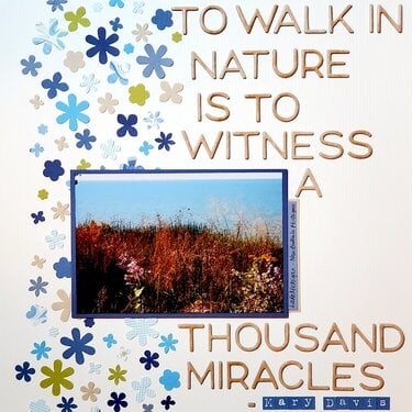 To Walk In Nature...