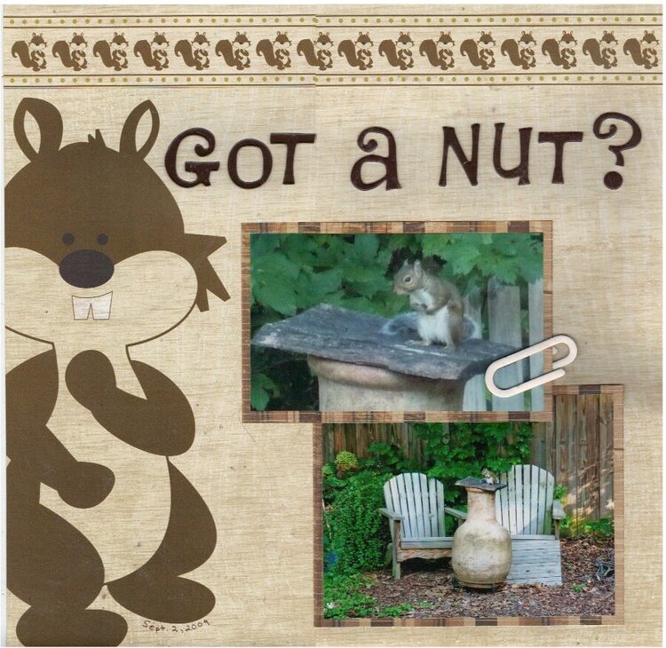 Got a Nut?