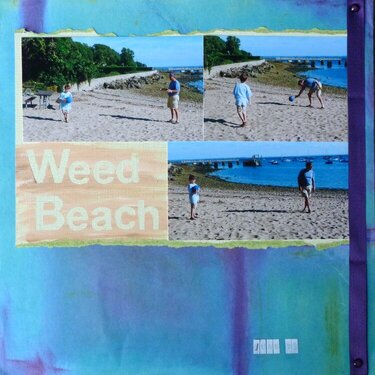 Weed Beach