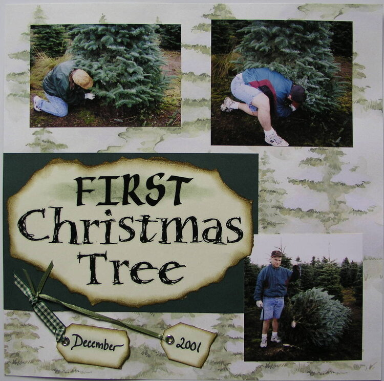 1st Christmas tree 2of2
