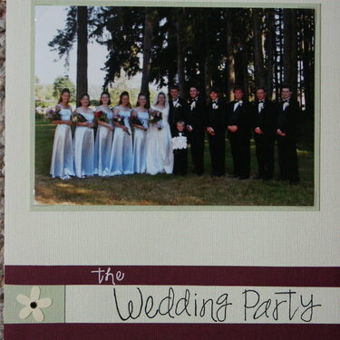 the wedding party pg 1
