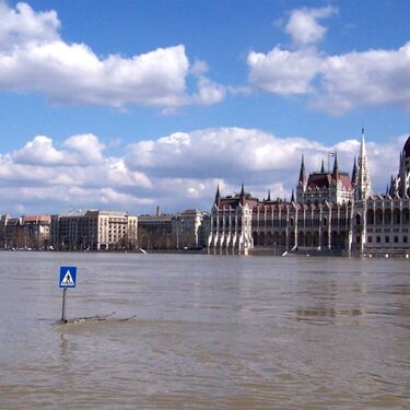 Danube River Flood