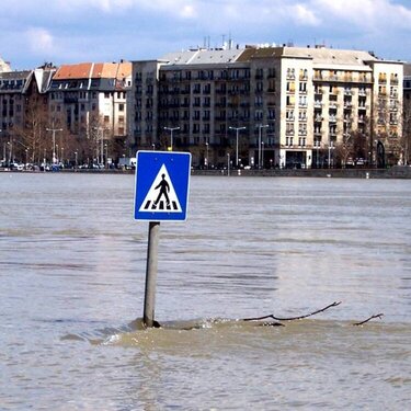 Danube River Flood