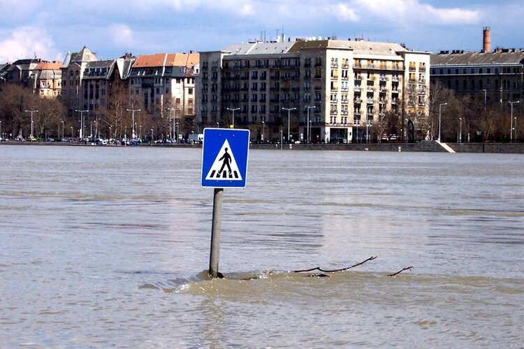 Danube River Flood
