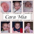 Cara Mia 1st year pg 1