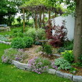 my gardens - spring 2006