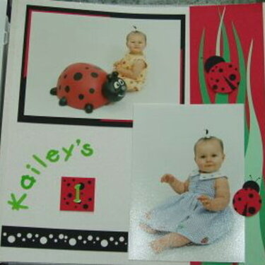 Kailey&#039;s 1 Lady Bugs