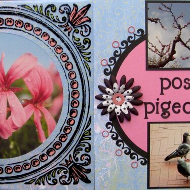 Posies and Pigeons