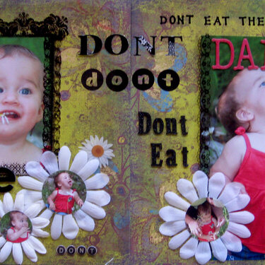 Please don&#039;t eat the Daisies