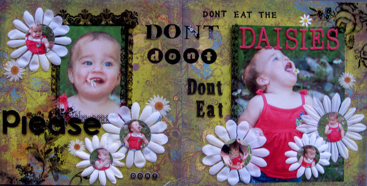 Please don&#039;t eat the Daisies
