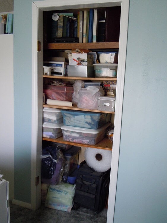 Closet After Organizational Challenge 2011