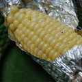 Corn on the Cob