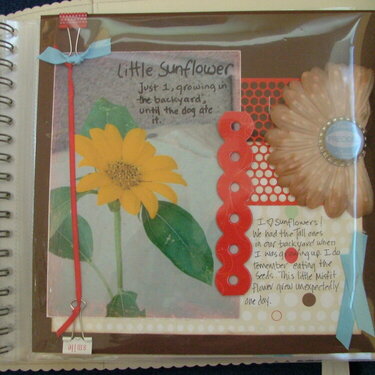 happy things page 16 surprise backyard flowers