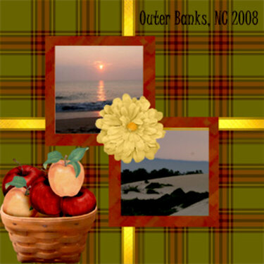 Outer Banks, NC 2008