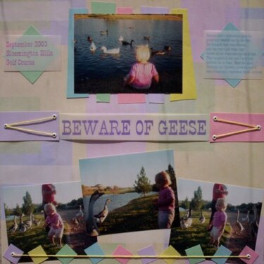 Beware of Geese