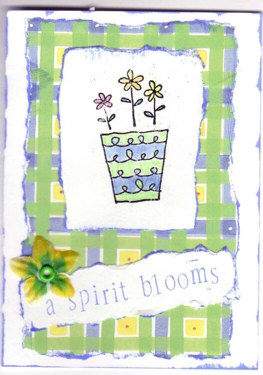 A Spirit Blooms