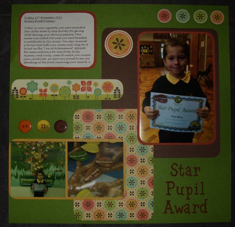 Star pupil award