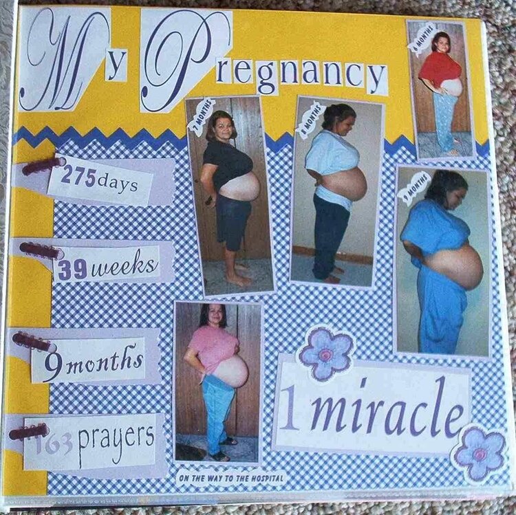 Alexa pregnancy