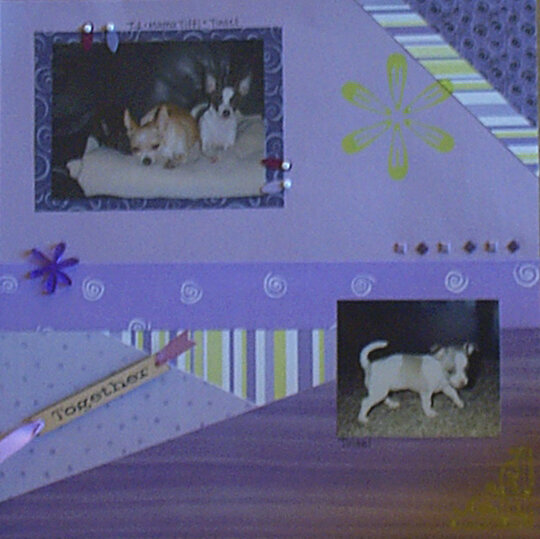 Chihuahua Scrapbook