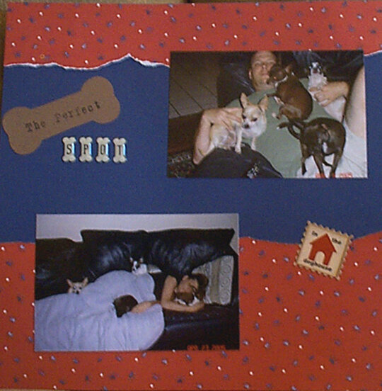 Chihuahua Scrapbook