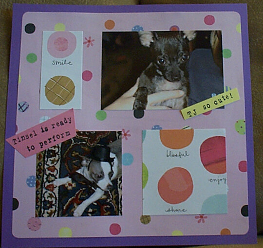 Chihuahua Scrapbook