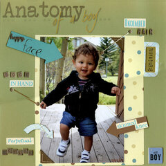 Anatomy of a Boy
