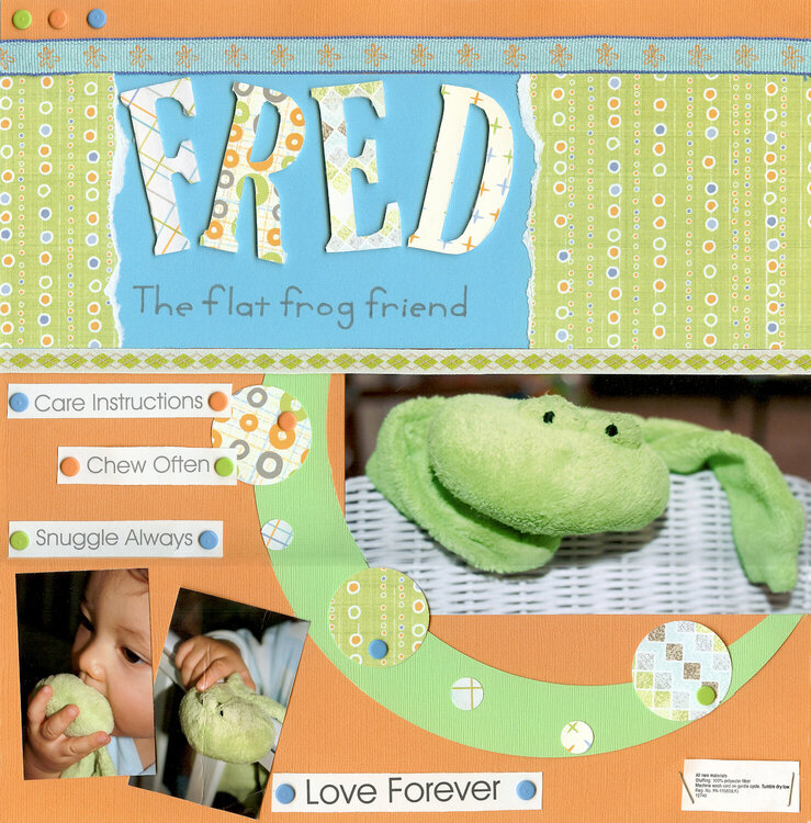 Fred: The Flat Frog Friend
