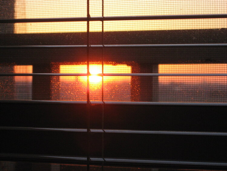 Sunrise -  thru my office window - may 19th