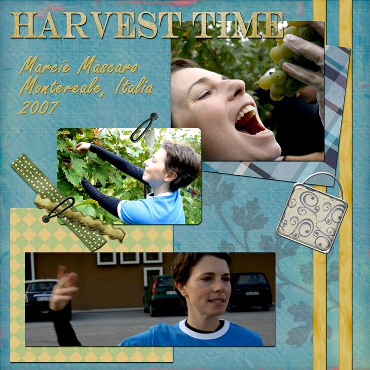 Harvest Marcie