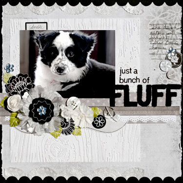 Fluff- CCG #206