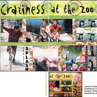 Craziness @ The Zoo