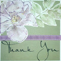 Thank You card for ****Paperwhite DT****