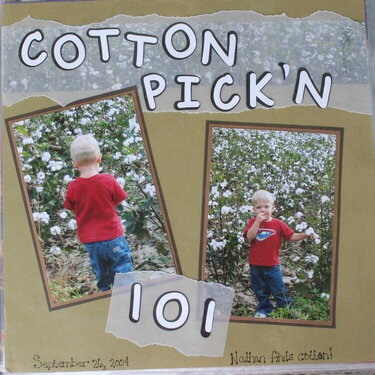 Cotton Pick&#039;n 101
