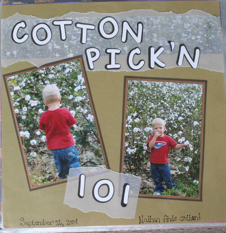 Cotton Pick&#039;n 101