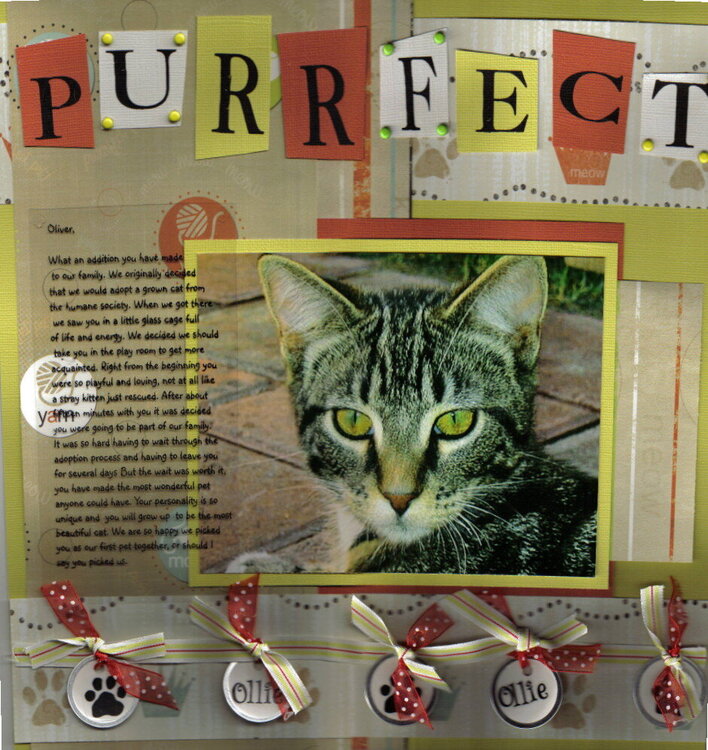 &amp;quot;purrfect&amp;quot;