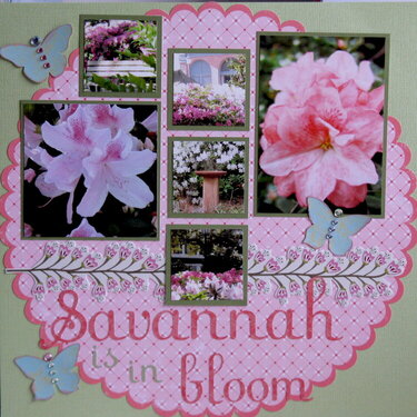Savannah is in Bloom