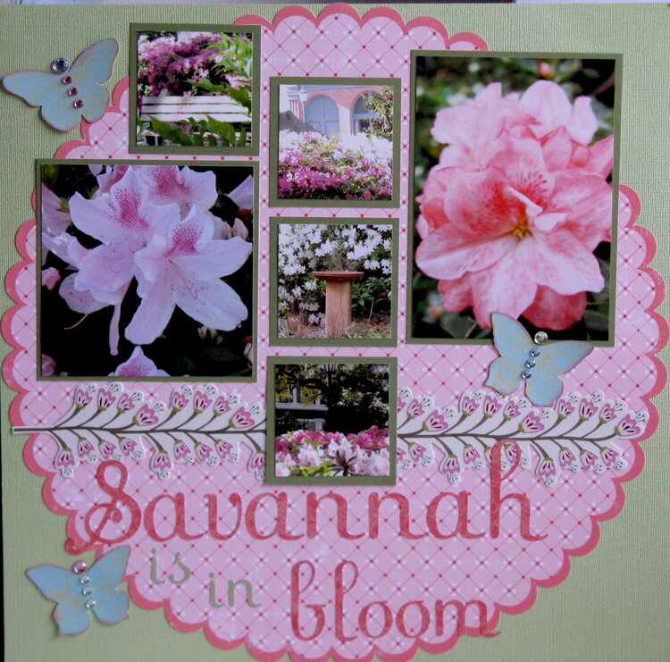 Savannah is in Bloom