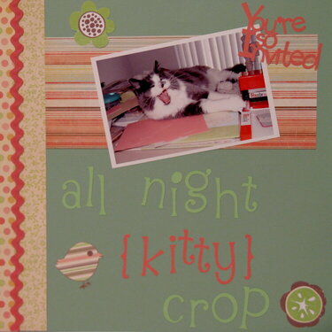 All Night Kitty Crop