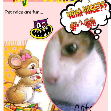 My Pet Mice