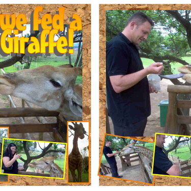 The day we fed a Giraffe