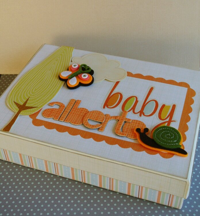 Mini Album Baby Alberto (the box)
