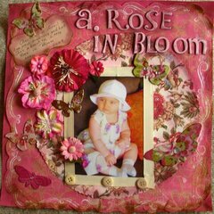 A Rose in Bloom