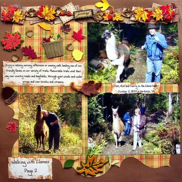 Walking with Llamas page two