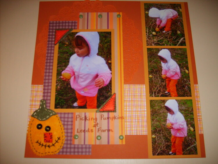 Picking Pumpkins (1 of 2)