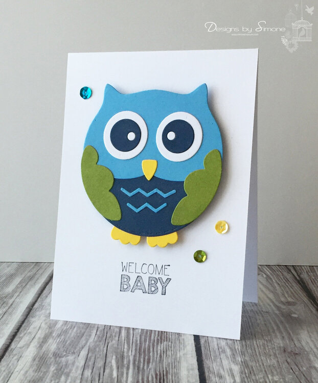 Welcome Baby Boy Owl Card