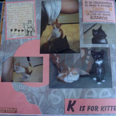 K is for Kitten