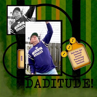 Daditude! Baseball Dad